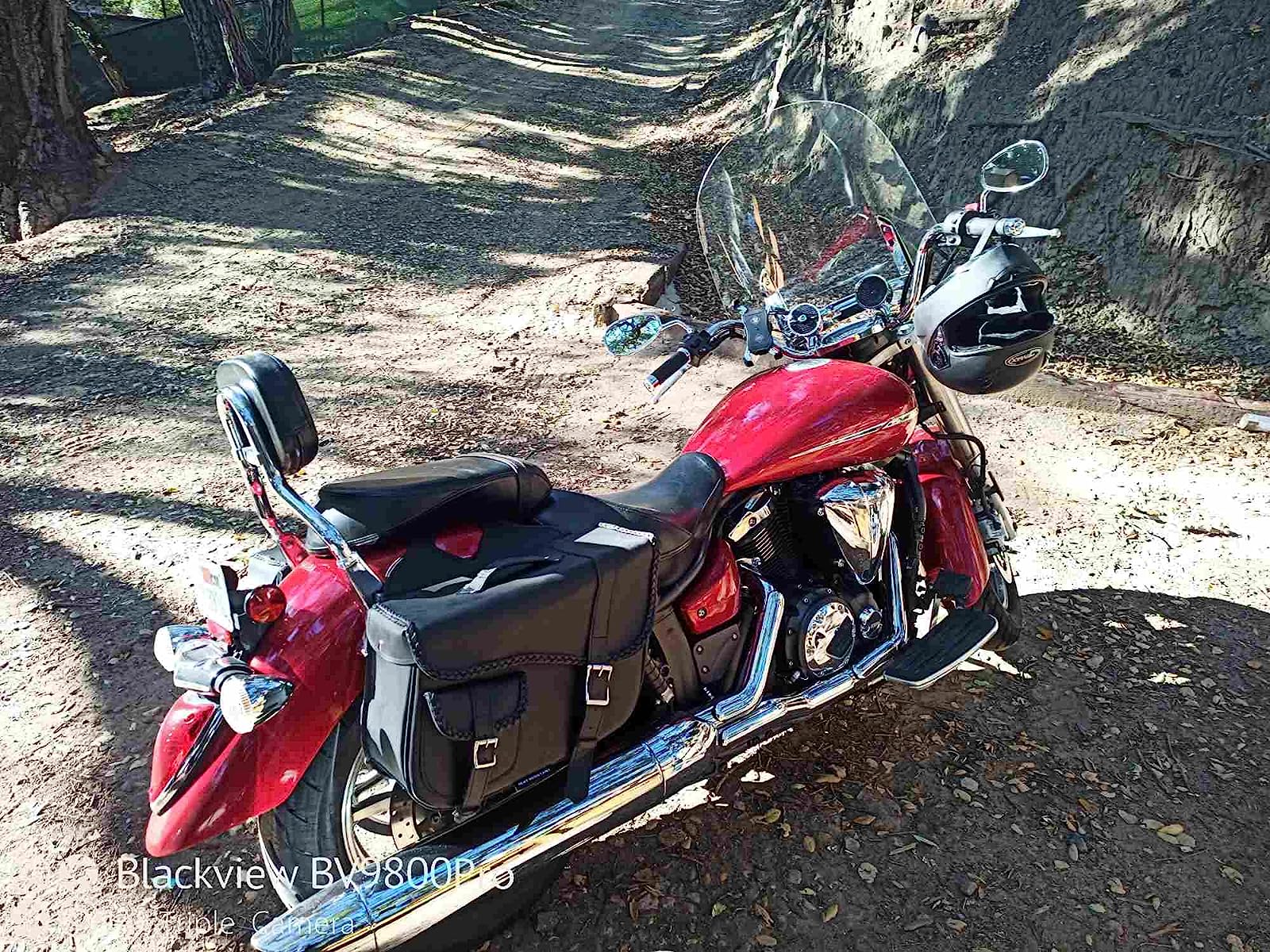 saddlebags leather