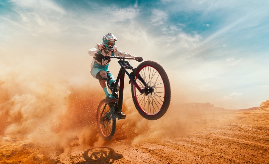 Trek bikes