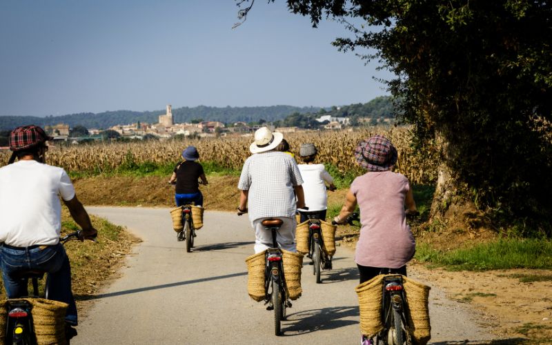 Riding Electric Bikes on Public Spaces: Laws and Restrictions