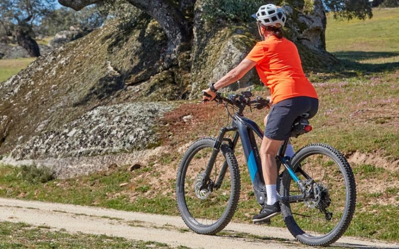 michigan electric bike laws