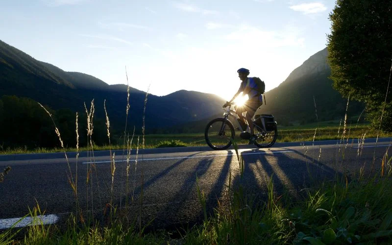 Electric mountain bike