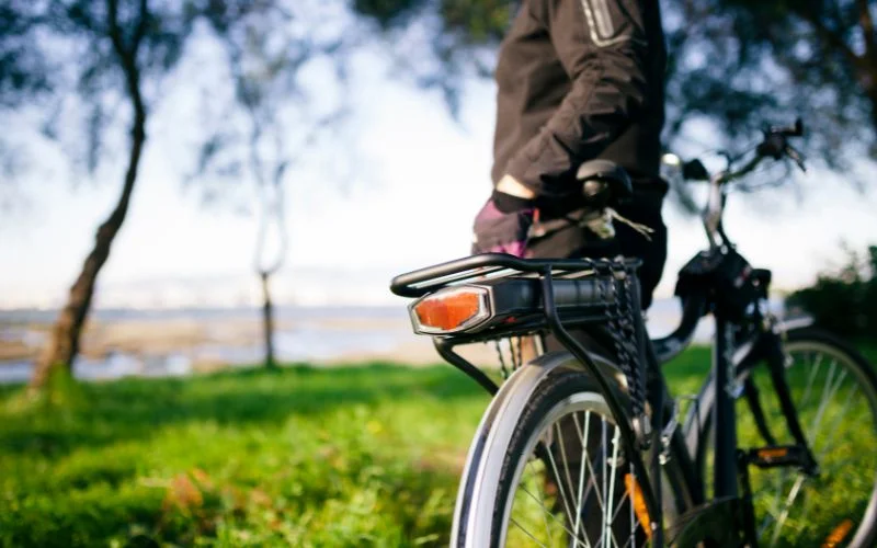 Best electric cycle brands