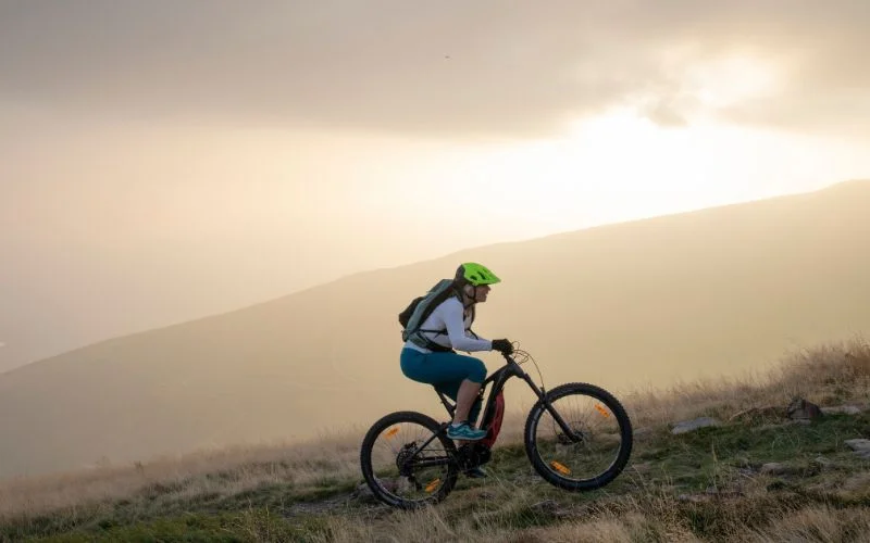 Electric mountain bike