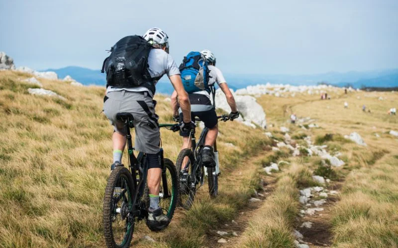 Electric mountain bike