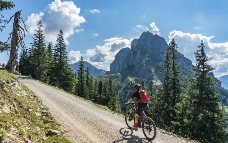 expensive mountain bikes