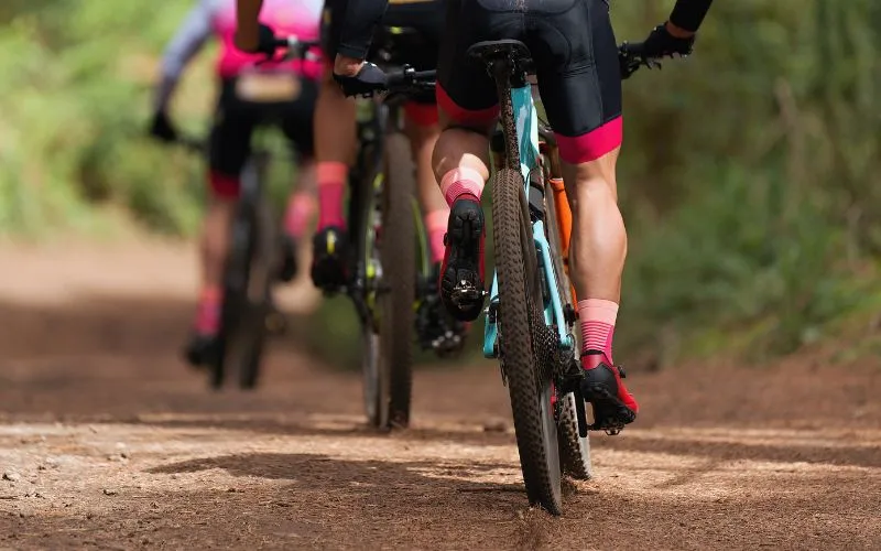 Trail Bike vs. Mountain Bike