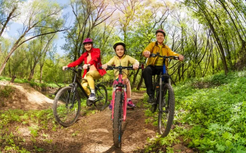 Trail Bike vs. Mountain Bike