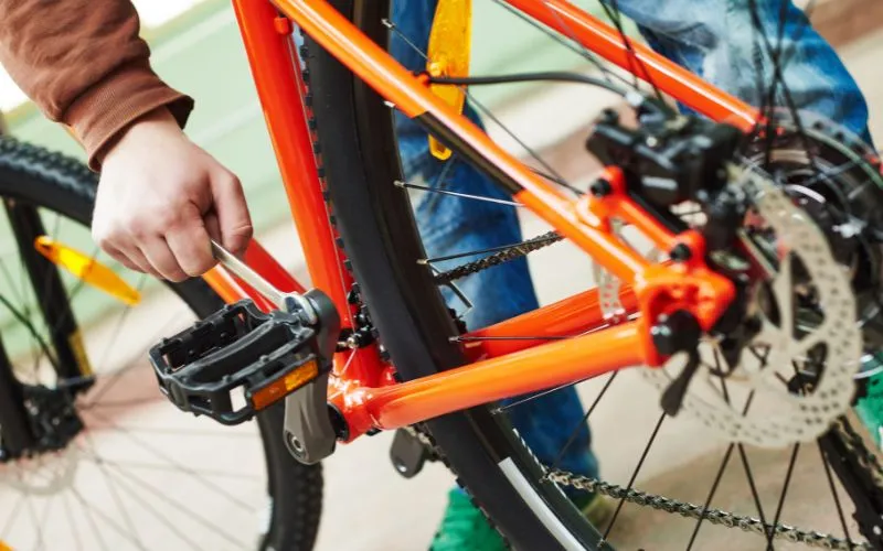 Trail Bike vs. Mountain Bike