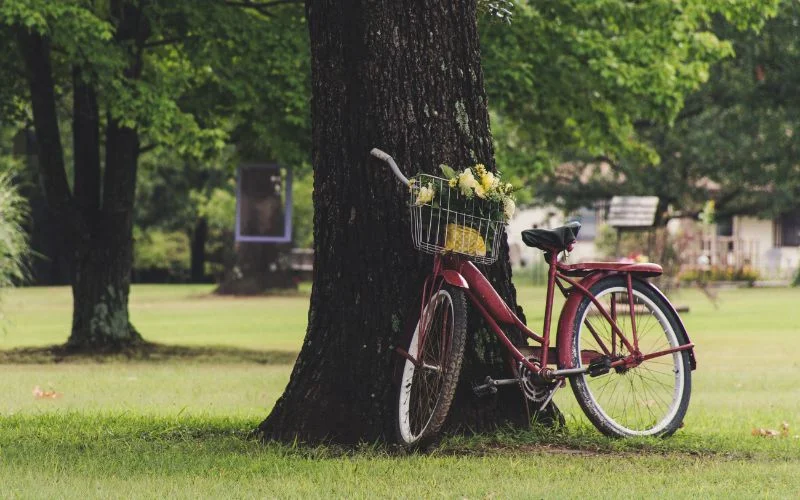 Easy Motion Bicycle