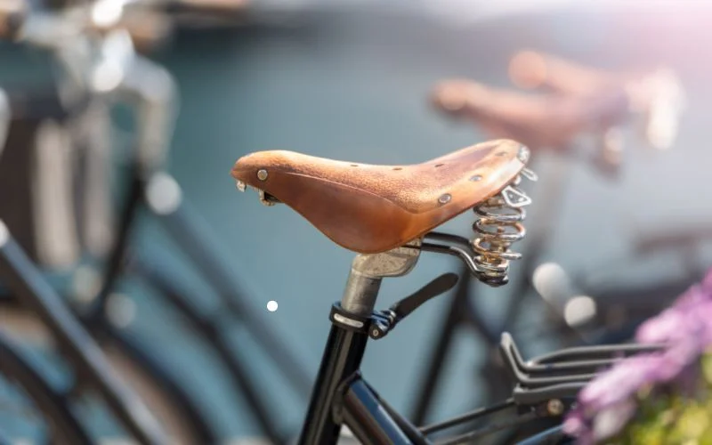 Factors Affecting Saddle Comfort
